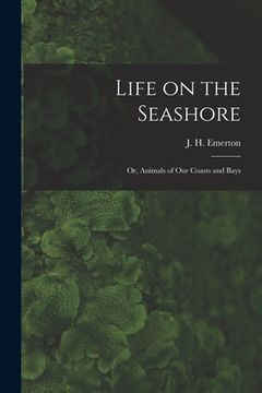portada Life on the Seashore: or, Animals of Our Coasts and Bays (in English)