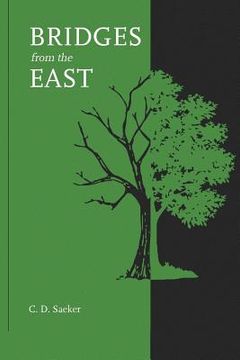 portada Bridges from the East: A novel about eastern religions (en Inglés)