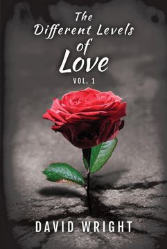 portada The Different Levels of Love, Volume 1 (en Inglés)