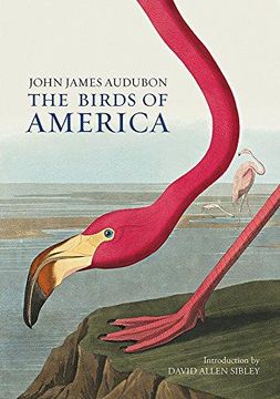 portada Birds Of America (en Inglés)
