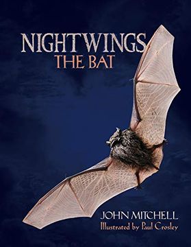 portada Nightwings the bat (en Inglés)