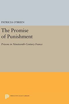 portada The Promise of Punishment: Prisons in Nineteenth-Century France (Princeton Legacy Library) (in English)