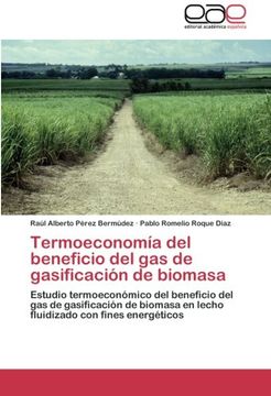 portada Termoeconomia del Beneficio del Gas de Gasificacion de Biomasa
