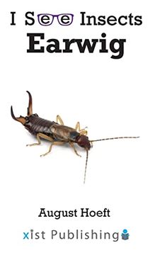 portada Earwig (i see Insects) (en Inglés)