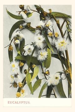 portada The Vintage Journal Eucalyptus Blossoms pocket journal features a trav (en Inglés)
