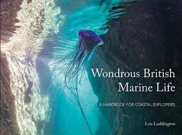 portada Wondrous British Marine Life: A Handbook for Coastal Explorers 