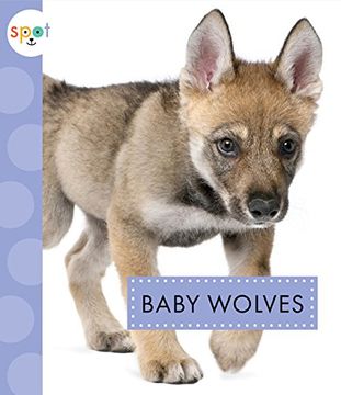portada Baby Wolves (Spot Baby Animals)