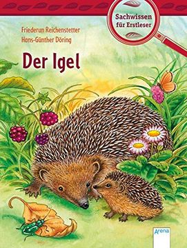 portada Der Igel: Sachwissen für Erstleser: Sachwissen fr Erstleser (en Alemán)