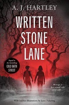 portada Written Stone Lane (Cold Bath Street) (in English)