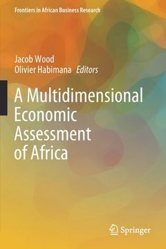 portada A Multidimensional Economic Assessment of Africa (en Inglés)
