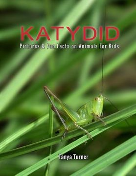 portada Katydid: Pictures & Fun Facts on Animals For Kids (in English)