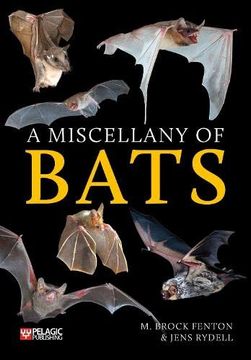 portada A Miscellany of Bats (en Inglés)