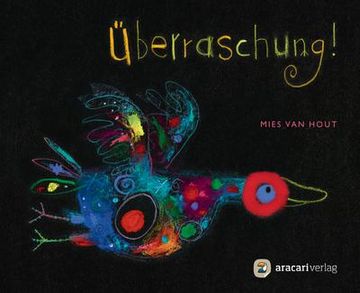 portada Überraschung! - Miniausgabe (in German)