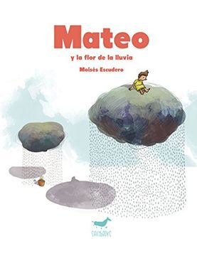 portada Mateo y la Flor de la Lluvia (in Spanish)