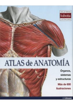 portada Atlas De Anatomia (2013): Organos Sistemas Estructuras