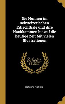 portada Die Hunnen im Schweizerischen Eifischthale und Ihre Nachkommen bis auf die Heutige Zeit mit Vielen Illustrationen (in German)
