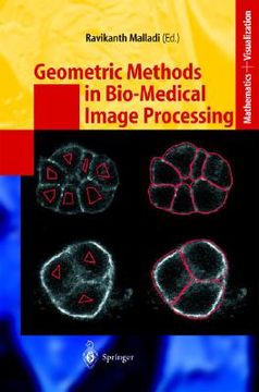 portada geometric methods in bio-medical image processing