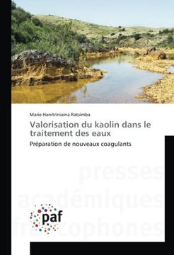 portada Valorisation du kaolin dans le traitement des eaux: Préparation de nouveaux coagulants (French Edition)