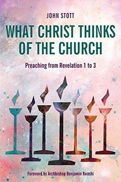 portada What Christ Thinks of the Church: Preaching From Revelation 1 to 3 (en Inglés)