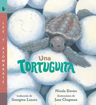 portada Una Tortuguita: Read and Wonder