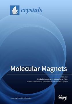 portada Molecular Magnets (en Inglés)