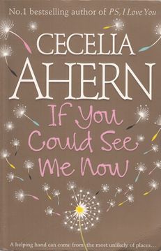 portada If you Could see me now (en Inglés)