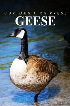 portada Geese - Curious Kids Press (en Inglés)
