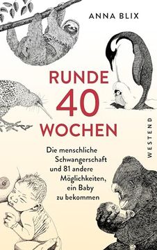 portada Runde 40 Wochen (in German)