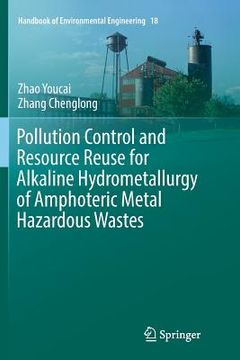 portada Pollution Control and Resource Reuse for Alkaline Hydrometallurgy of Amphoteric Metal Hazardous Wastes (en Inglés)