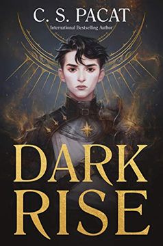 portada Dark Rise: 1 (en Inglés)