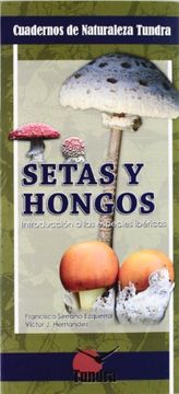 portada Setas Y Hongos Introduccion A Las Especies Ibericas (in Spanish)