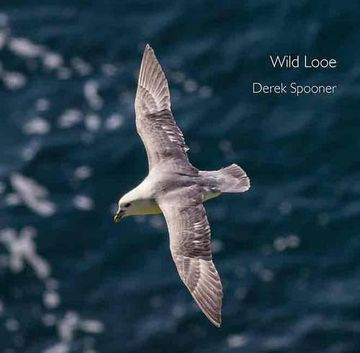 portada Wild Looe (Pocket Cornwall)