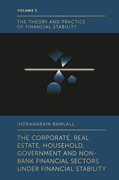 portada The Corporate, Real Estate, Household, Government and Non-Bank Financial Sectors Under Financial Stability (The Theory and Practice of Financial Stability, 3) (en Inglés)