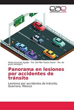portada Panorama en Lesiones por Accidentes de Tránsito