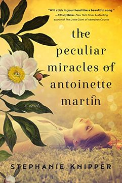 portada Peculiar Miracles of Antoinette Martin (in English)