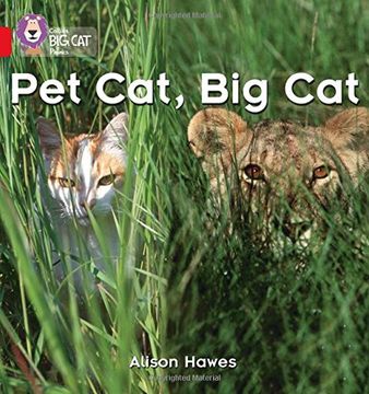 portada Pet Cat, Big Cat: Red / Band 2a (in English)