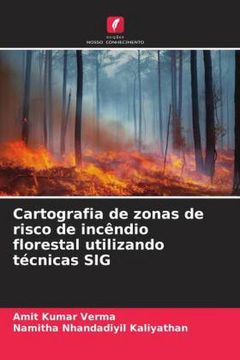 portada Cartografia de Zonas de Risco de Incêndio Florestal Utilizando Técnicas sig (en Portugués)