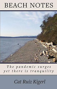 Beach Notes: The Pandemic Surges yet There is Tranquility (en Inglés)