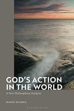 portada God'S Action in the World: A new Philosophical Analysis (en Inglés)