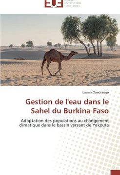 portada Gestion de L'Eau Dans Le Sahel Du Burkina Faso