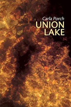 portada Union Lake (en Inglés)