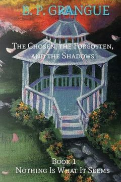 portada The Chosen, The Forgotten, and the Shadows Book 1 (in English)