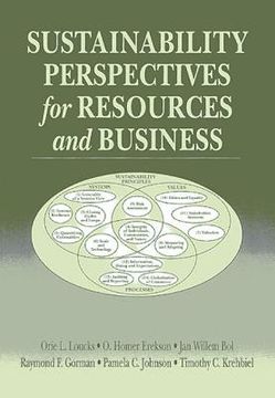 portada sustainability perspectives for resources and business (en Inglés)