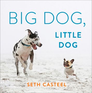 portada Big Dog, Little dog