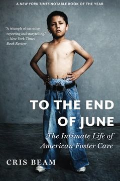 portada To the End of June: The Intimate Life of American Foster Care (in English)