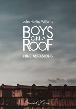 portada Boys on a Roof: Nine Abrasions (en Inglés)