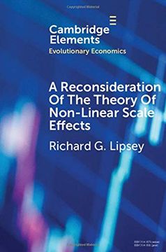 portada A Reconsideration of the Theory of Non-Linear Scale Effects: The Sources of Varying Returns to, and Economies of, Scale (Elements in Evolutionary Economics) (en Inglés)