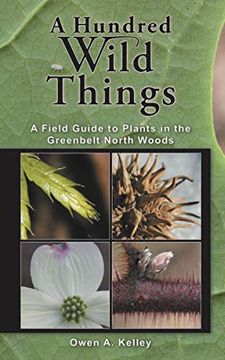 portada A Hundred Wild Things: A Field Guide to Plants in the Greenbelt North Woods (en Inglés)