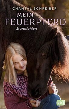 portada Mein Feuerpferd - Sturmfohlen (Die Mein Feuerpferd-Reihe, Band 2) (in German)