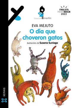 portada O dia que Choveron Gatos (in Galician)